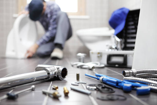 istockphoto 918319088 612x612 1
